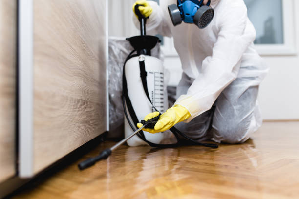 Best Exterminator Services  in Jonesboro, IL