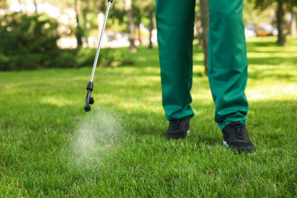 Best Rodent Control Near Me  in Jonesboro, IL