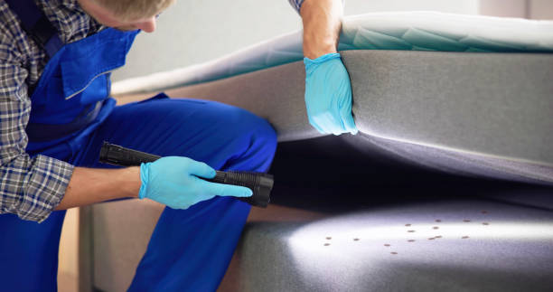 Best Affordable Pest Control Services  in Jonesboro, IL