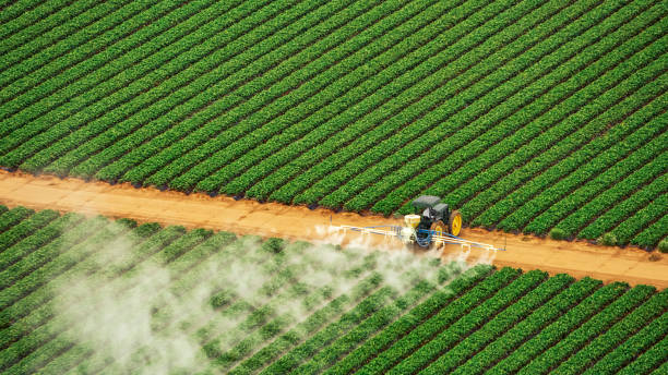 Best Best Pest Control Companies  in Jonesboro, IL