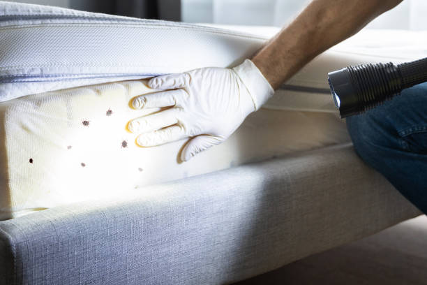 Best Wildlife Control Services  in Jonesboro, IL