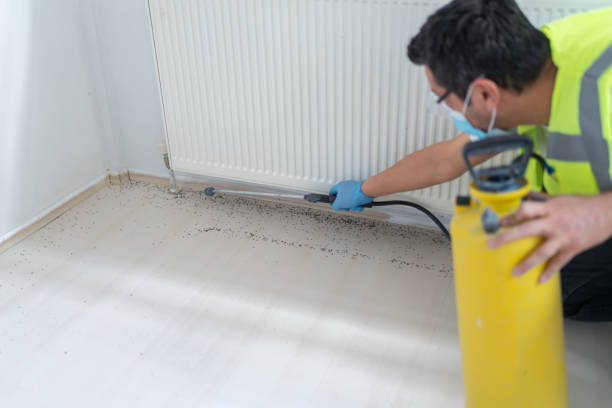 Best Pest Control Near Me  in Jonesboro, IL